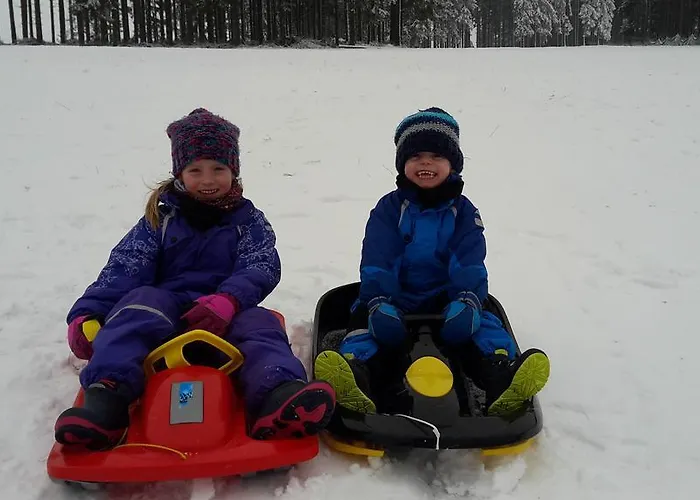 招待所 奥斯特恩托尔酒店 3*