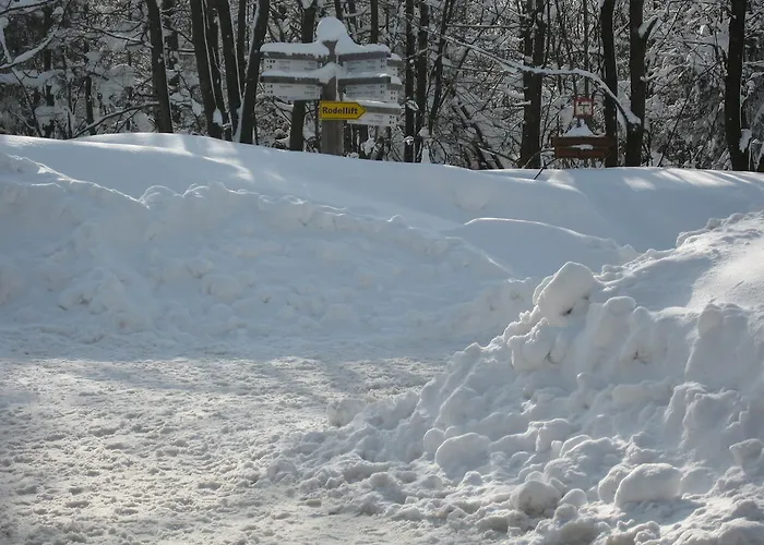 奥斯特恩托尔酒店 3* 梅德巴赫