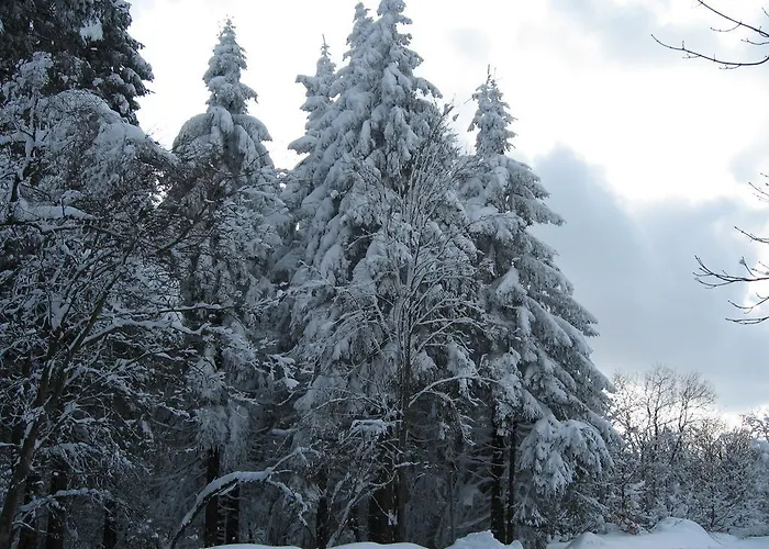 奥斯特恩托尔酒店 招待所